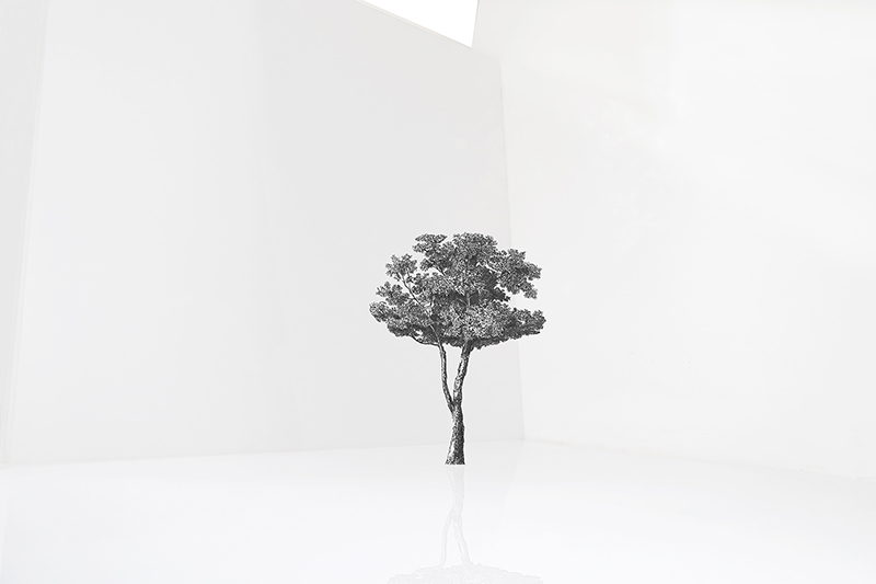 ville andersson ville andersson