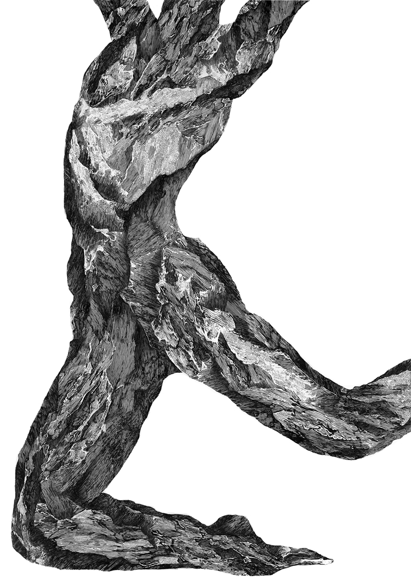 ville andersson ville andersson